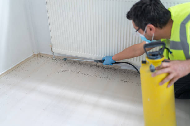 Best Best Pest Control Companies  in Horizon City, TX